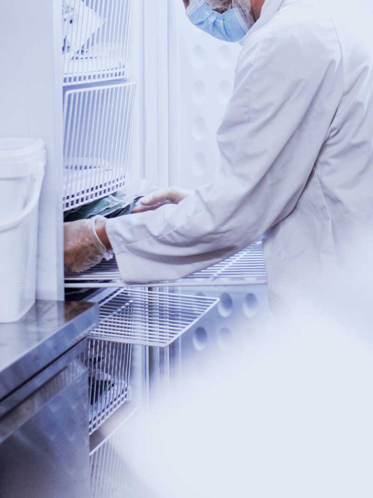 Laboratoire production spiruline surgelée