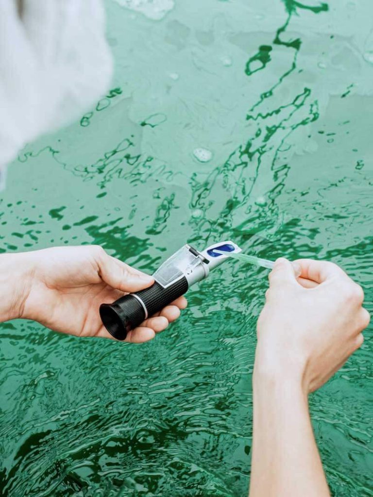 Test bassin spiruline
